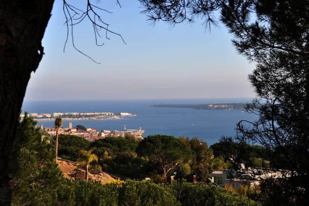 Cannes Beach And Festival Palais Екстер'єр фото